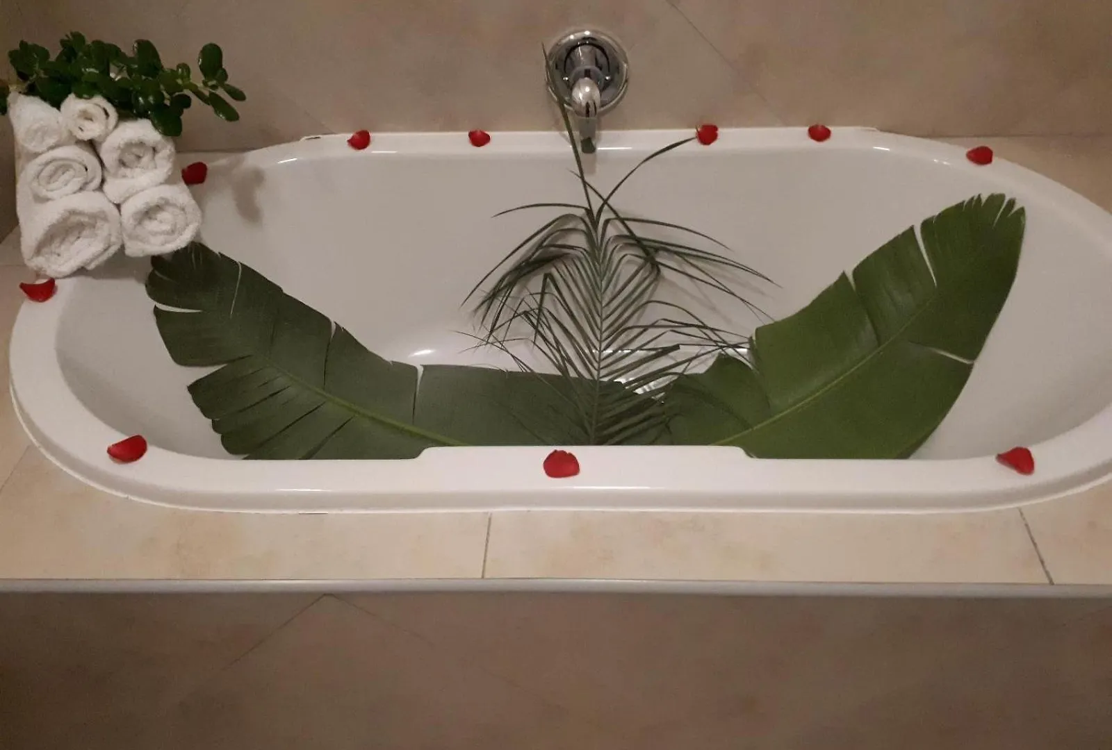 Eversview Guesthouse ダーバンヴィル ゲストハウス