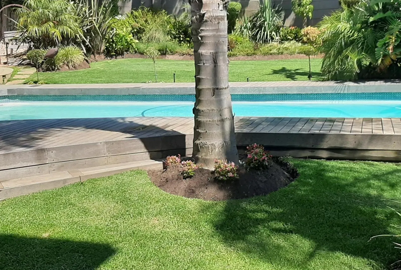ゲストハウス Eversview Guesthouse ダーバンヴィル
