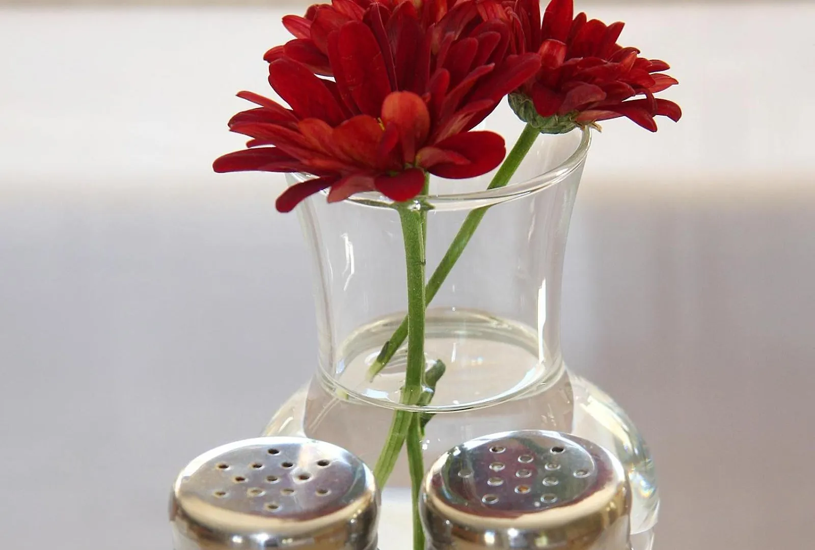 Eversview Guesthouse Durbanville Südafrika