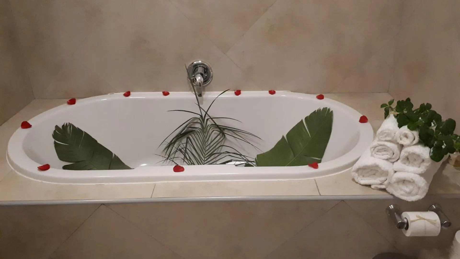 Eversview Guesthouse Durbanville